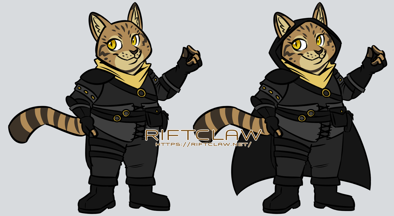 Black-footed cat rogue/mage.